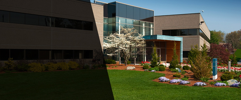 Meadow Vista Landscapers