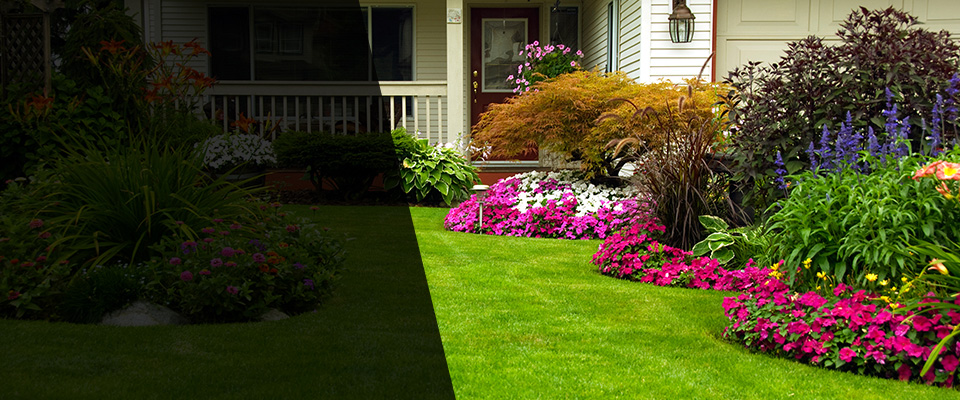 Meadow Vista Landscapers