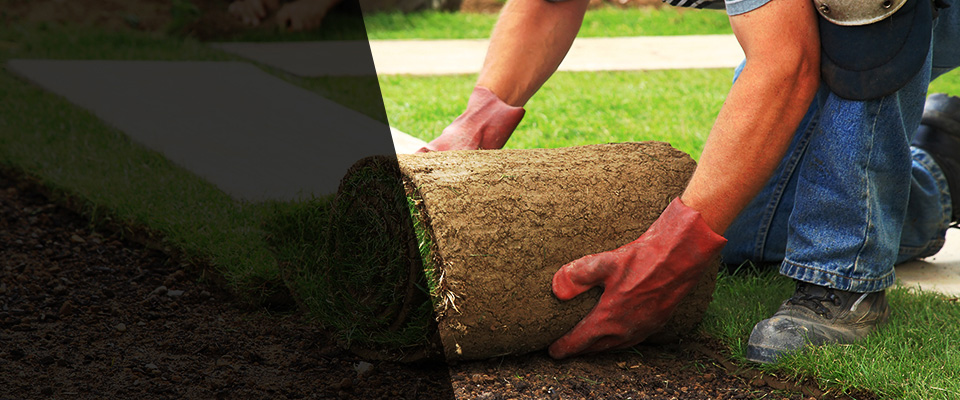 Meadow Vista Landscapers